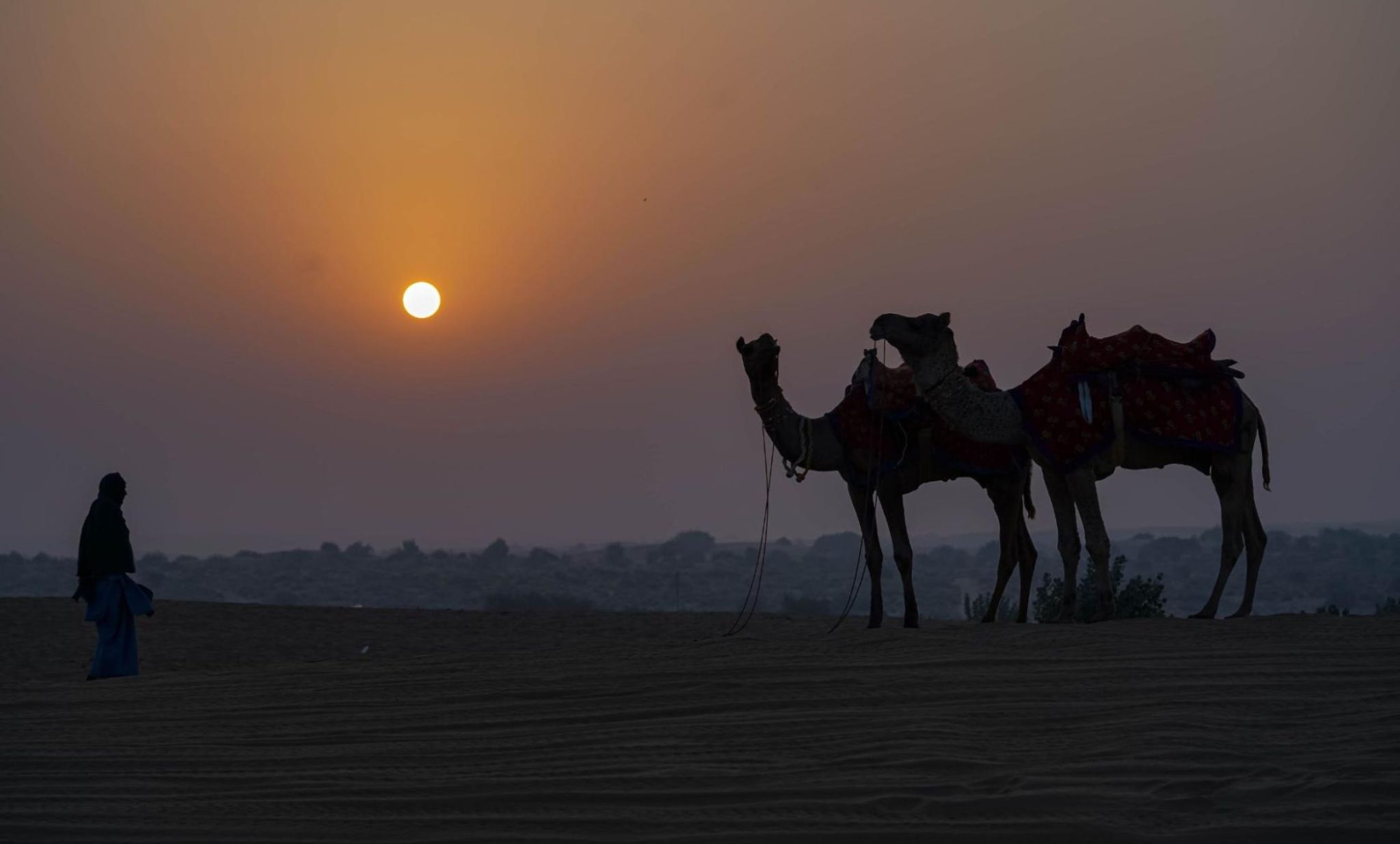 Desert Sunset